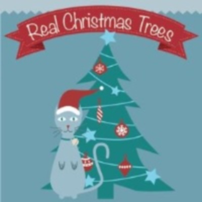 Real Christmas Trees&thinsp;