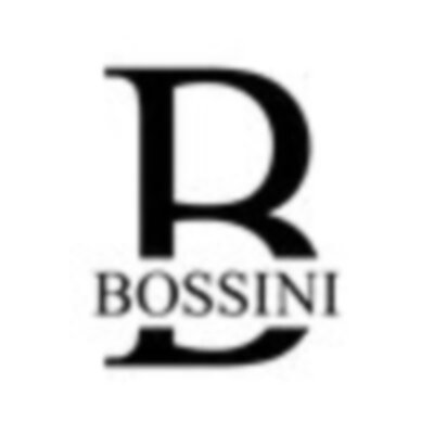 Bossini USA&thinsp;
