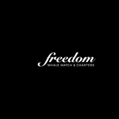 Freedom Ecotours Pty ltd (freedomwhalewatch)&thinsp;