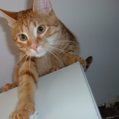 Kristina Victoreen&thinsp;