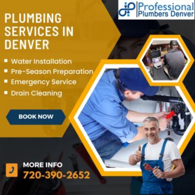 professional plumbers&thinsp;