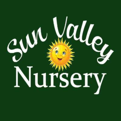 Sun Valley Yard Design | Sun Valley Yard Consultation&thinsp;