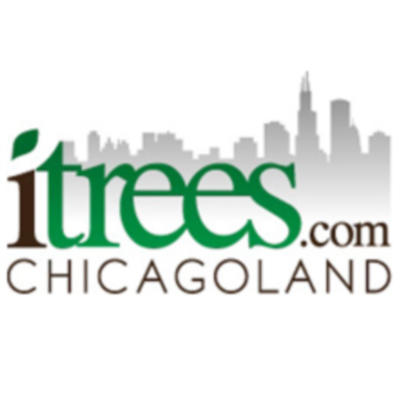 Itrees Wheaton&thinsp;