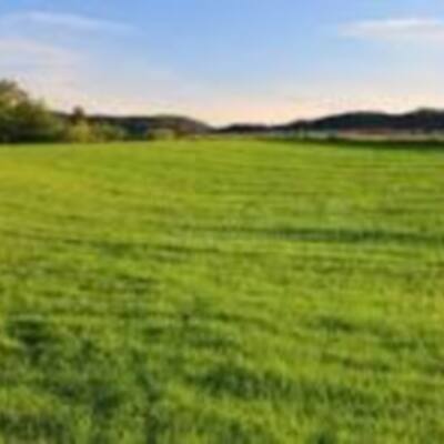 reeltor official&thinsp;