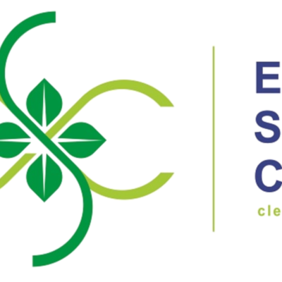 ecosmart cleaning&thinsp;