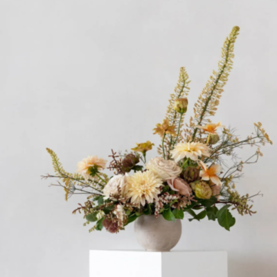 FioreDesigns FioreDesigns&thinsp;